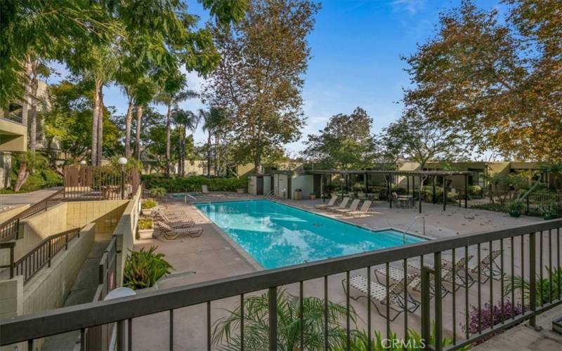 View From Patio Overlooking Pool
