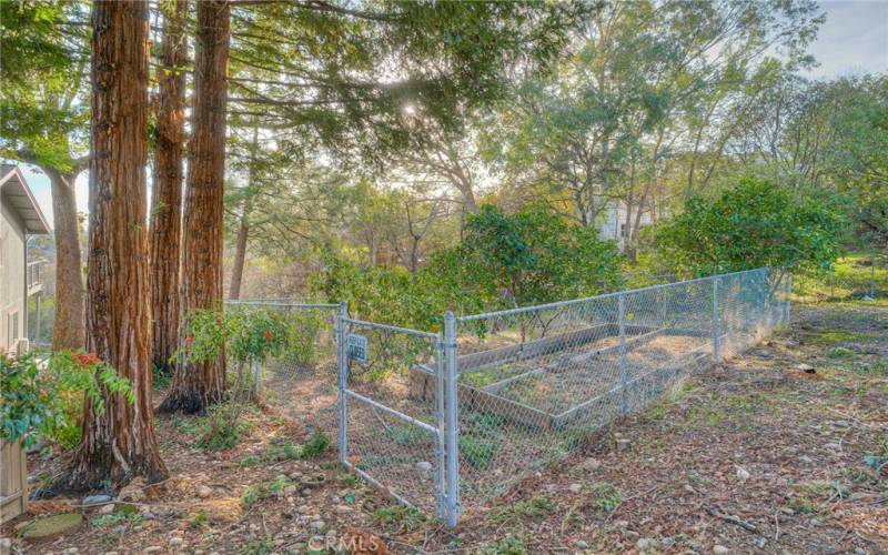 Fence garden