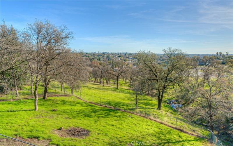 Backyard with old growth oak trees, cross fenced with chain-link