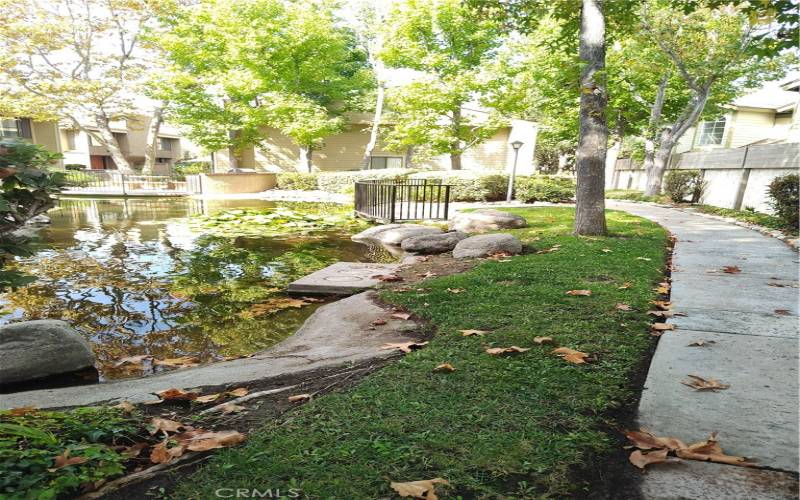 Walkway and pond