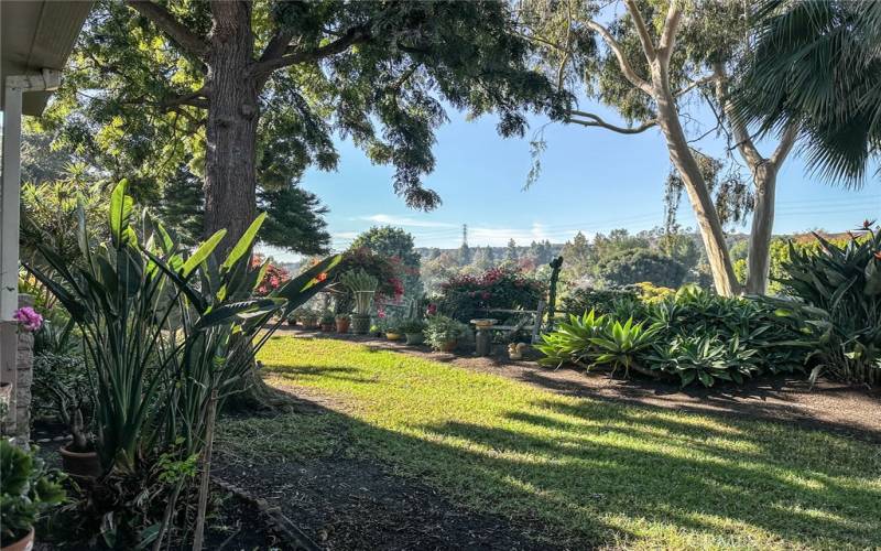 VIEW FROM PATIO