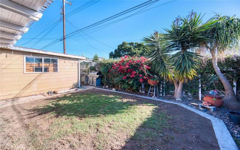 Private backyard, complete with plants, flower beds and plenty of space for BBQs or relaxation.