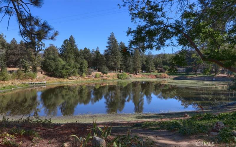 Seller advised they own 1/2 the pond. Details!