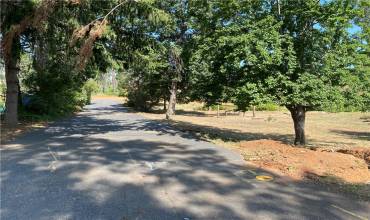 6102 Ripley Lane, Paradise, California 95969, ,Land,Buy,6102 Ripley Lane,SN24253502