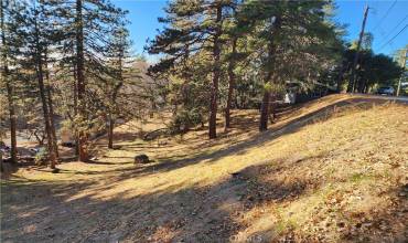 30696 Ferndale Drive, Running Springs, California 92382, ,Land,Buy,30696 Ferndale Drive,RW24253628