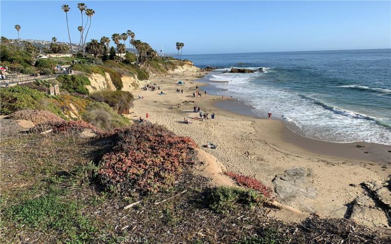 NEARBY LAGUNA BEACH