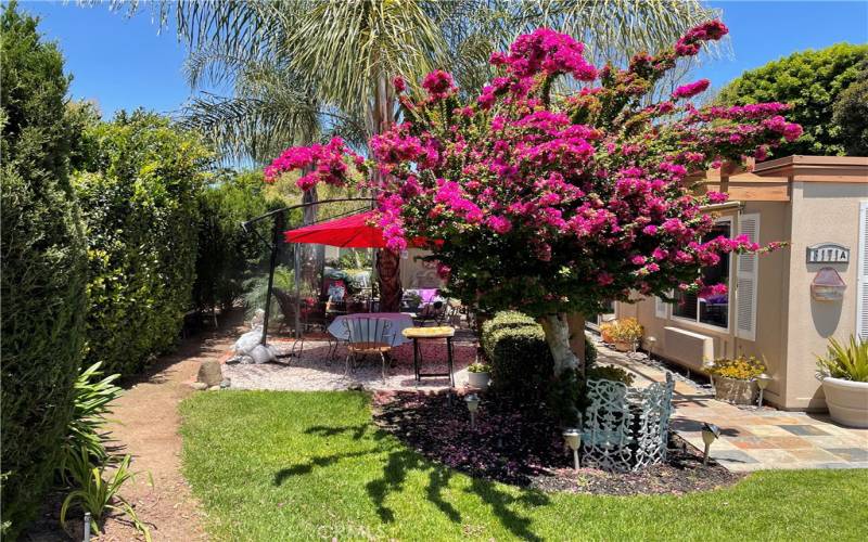 SIDE YARD AND FRONT ENTRY