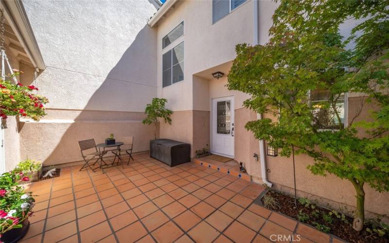 Courtyard between front door and garage