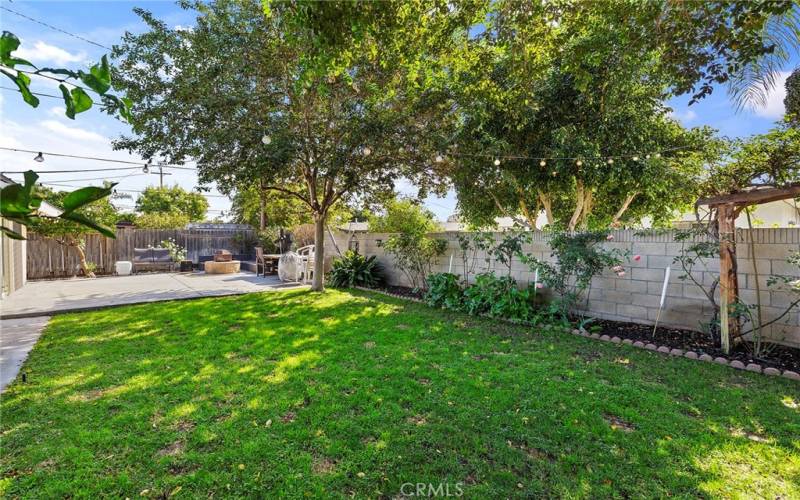 Nice Size Backyard with trees and shrubs