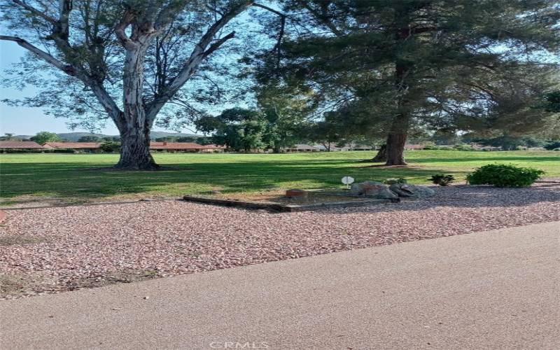 Backyard Views of Fairway Greens