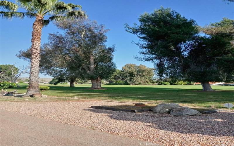 Backyard Views of Fairway Greens