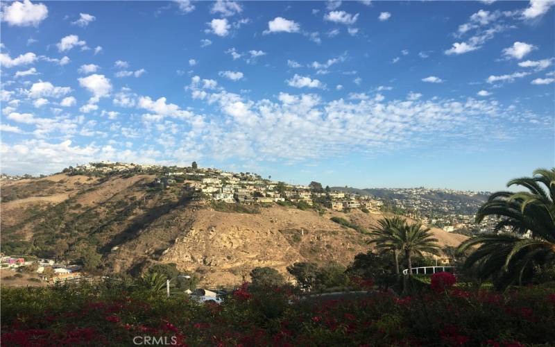 Canyon views from living room