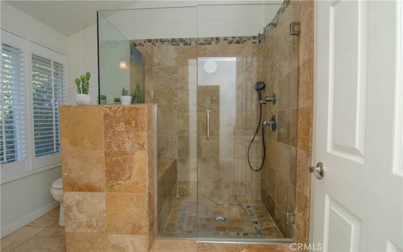 Primary bathroom / step-in shower