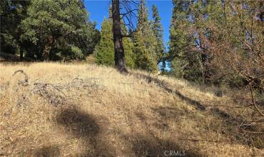 0 unknown, Cedarpines Park, California 92322, ,Land,Buy,0 unknown,CV24254557