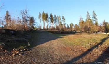 1573 Nunneley Road, Paradise, California 95969, ,Land,Buy,1573 Nunneley Road,PA24254627