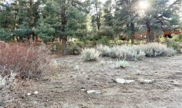 15500 Mil Potrero Hwy, Pine Mountain Club, California 93222, ,Land,Buy,15500 Mil Potrero Hwy,SR24254389