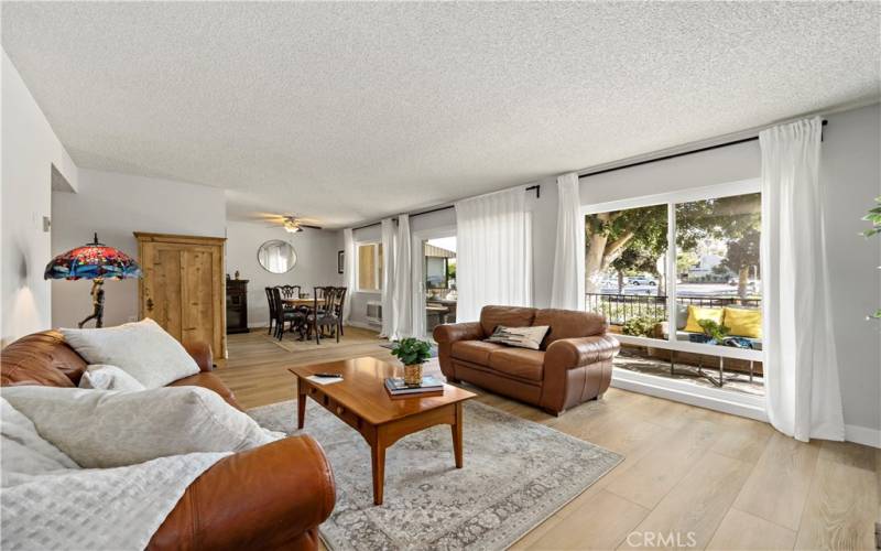 Living Room with natural light