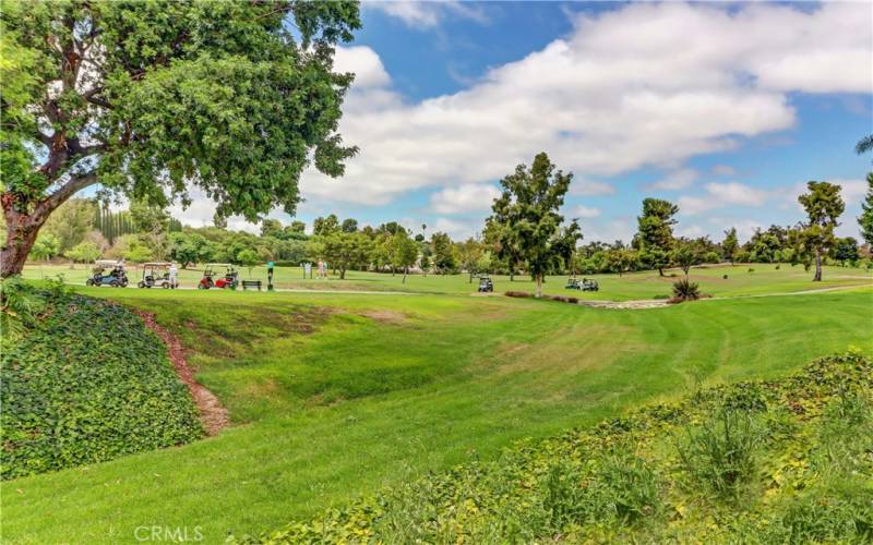 Golf Course from Cul de Sac