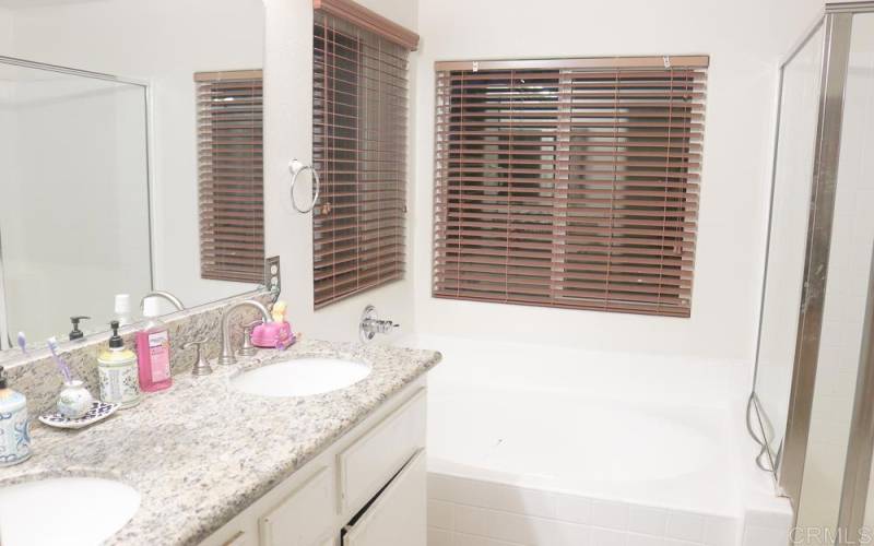 shower area is separate from the large bathtub