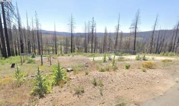 6714 Tyler Dr, Grizzly Flats, California 95636, ,Land,Buy,6714 Tyler Dr,41081528