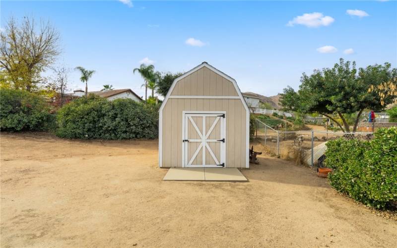 Back Yard - Shed