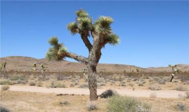 60337 Belfair Drive, Joshua Tree, California 92252, ,Land,Buy,60337 Belfair Drive,CV25002179