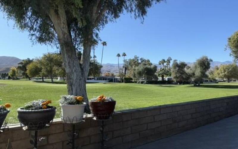 Golf Course Views from back patio