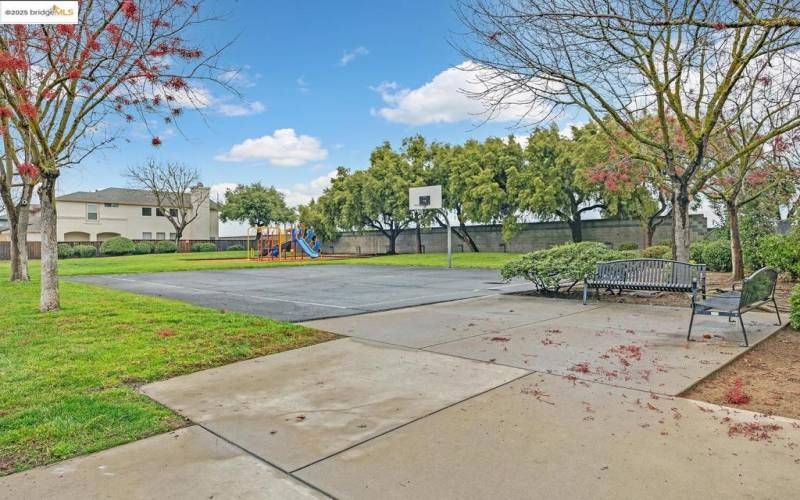 Basketball Court