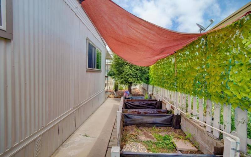 backyard garden boxes