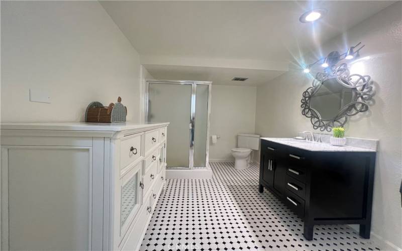 Downstairs shower and vanity area.