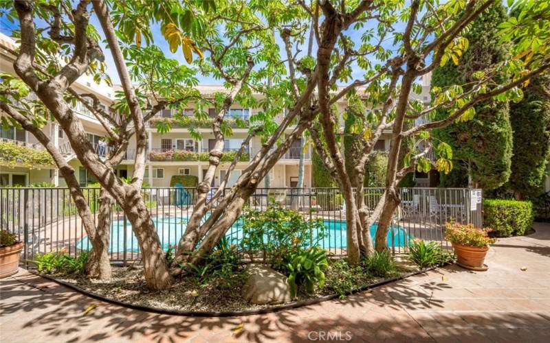 Lush courtyard is striking!