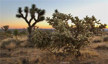 7635 La Contenta Road, Joshua Tree, California 92284, ,Land,Buy,7635 La Contenta Road,JT25001678