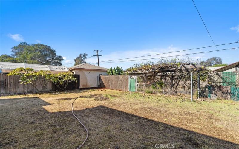 Backyard #2 - everything beyond back fence is part of the lot