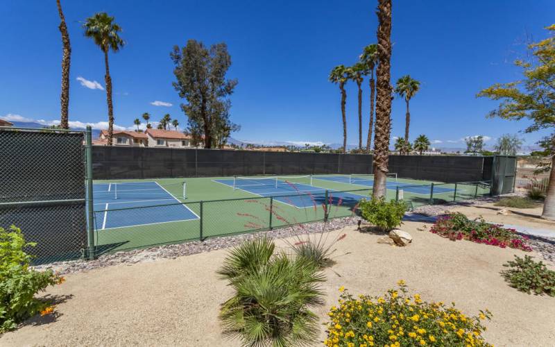 Pickleball Courts 5