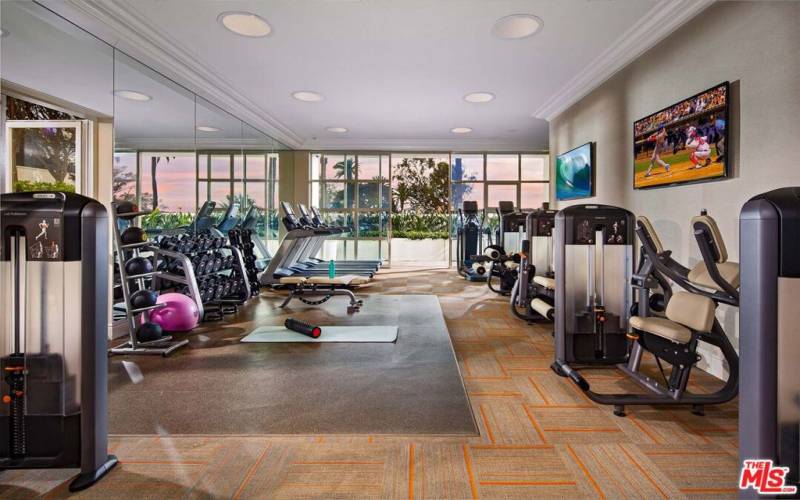 Professional Fitness Center