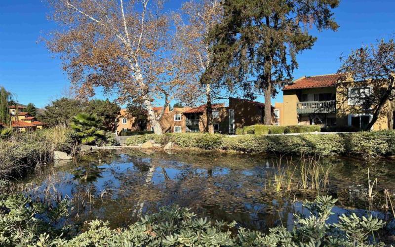 Lush Landscaping all around