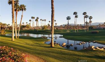 38453 Nasturtium Way, Palm Desert, California 92211, 3 Bedrooms Bedrooms, ,1 BathroomBathrooms,Residential,Buy,38453 Nasturtium Way,PW25000593