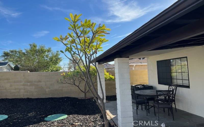 Backyard patio cover