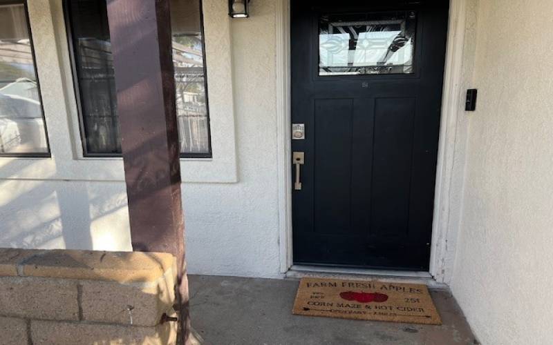 Electronic Front Door