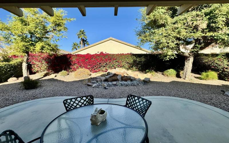 Patio with Waterfall Feature