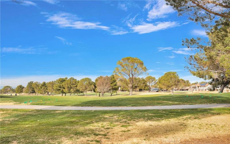 Backyard view over East hole #1