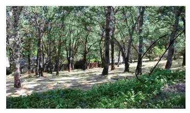 7891 Soda Bay Road, Kelseyville, California 95451, ,Land,Buy,7891 Soda Bay Road,LC24255058