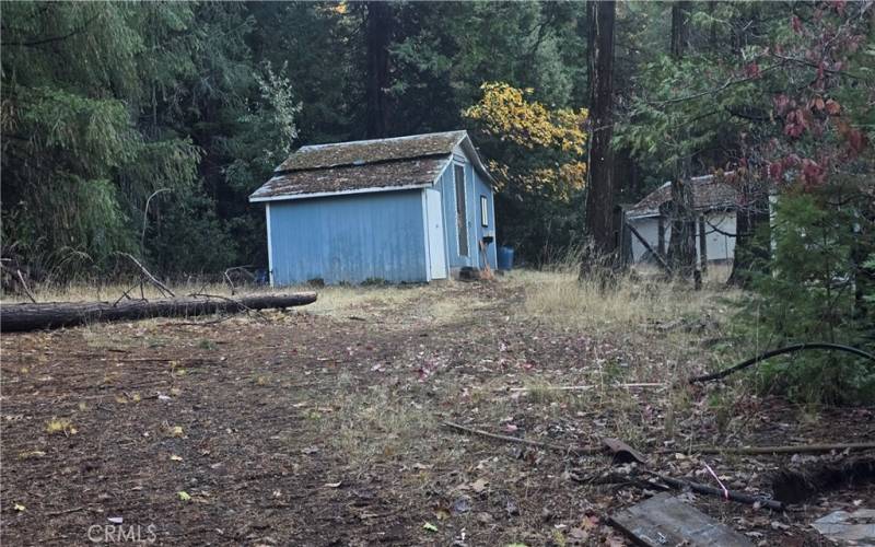 driveway to Grandma's workshop