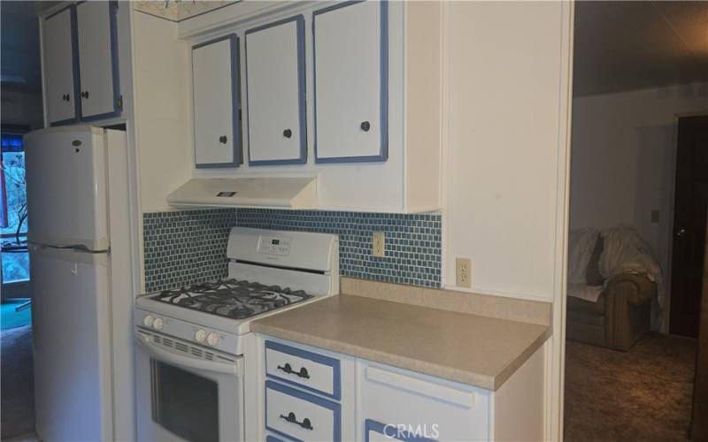 kitchen with gas stove/oven