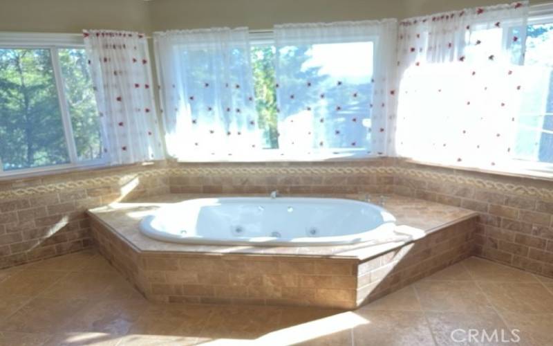 jacuzzi in master bathroom