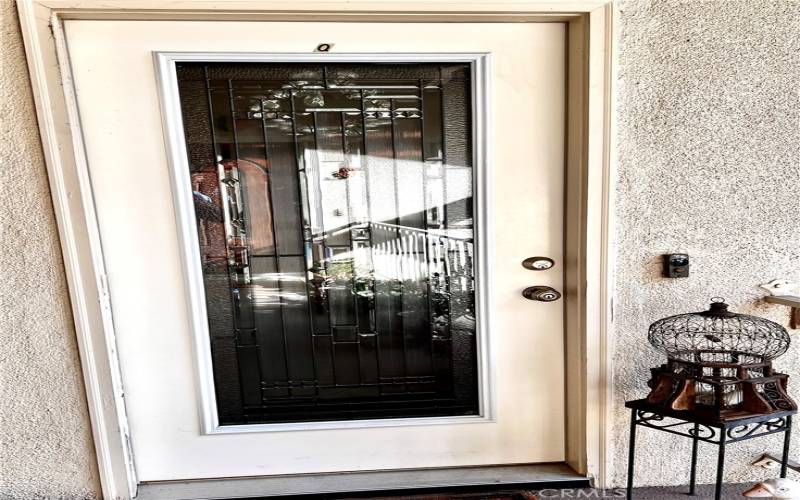 Designer Glass Entry Door