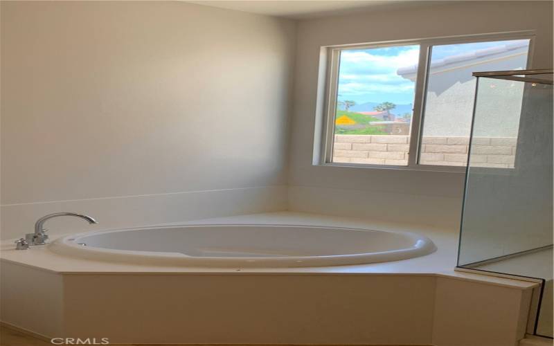 Primary Bathroom - Oval Tub