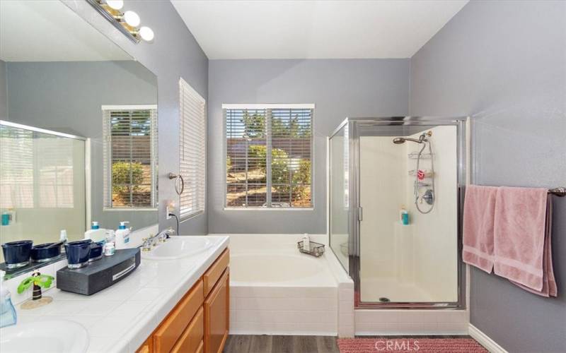 Primary Bathroom with soaking tub and walk-in shower