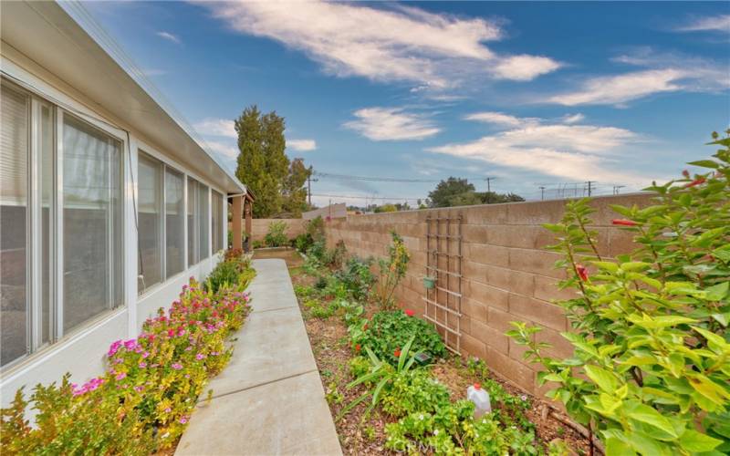 Garden in Backyard