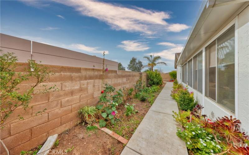 Garden in Backyard